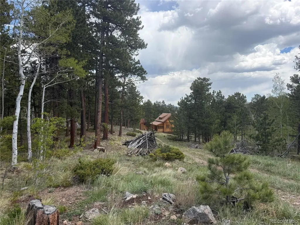 1001 County Road 86 Red Feather Lakes CO 80545