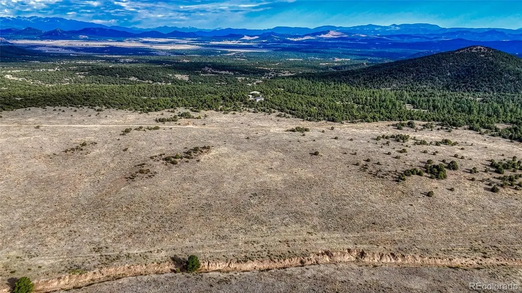 705 Riggs Road N Westcliffe CO 81252
