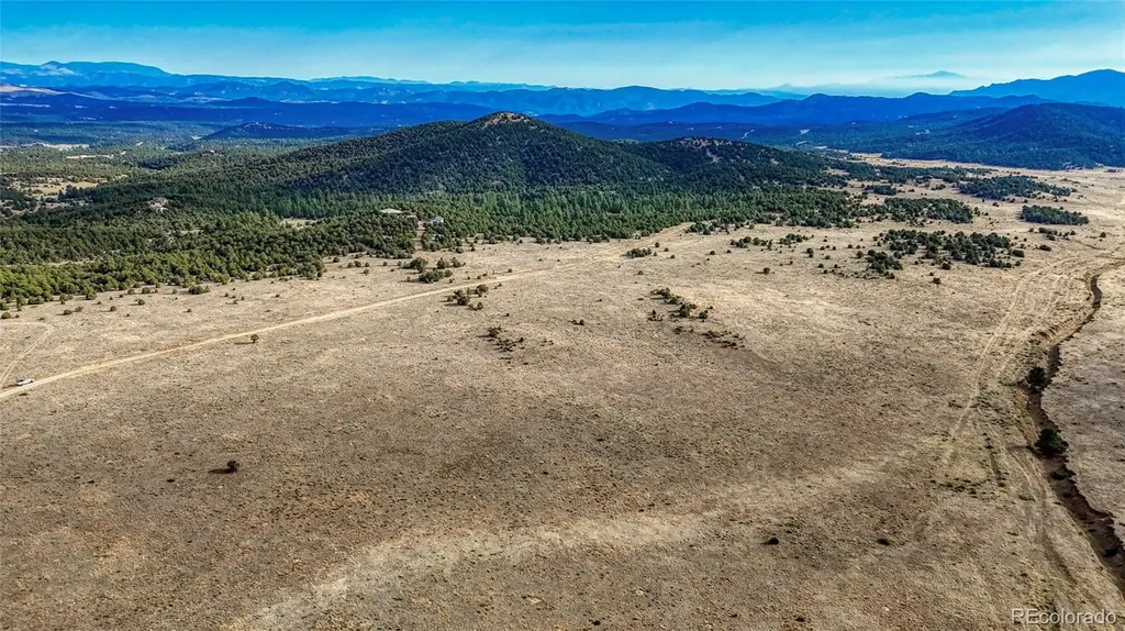 705 Riggs Road N Westcliffe CO 81252