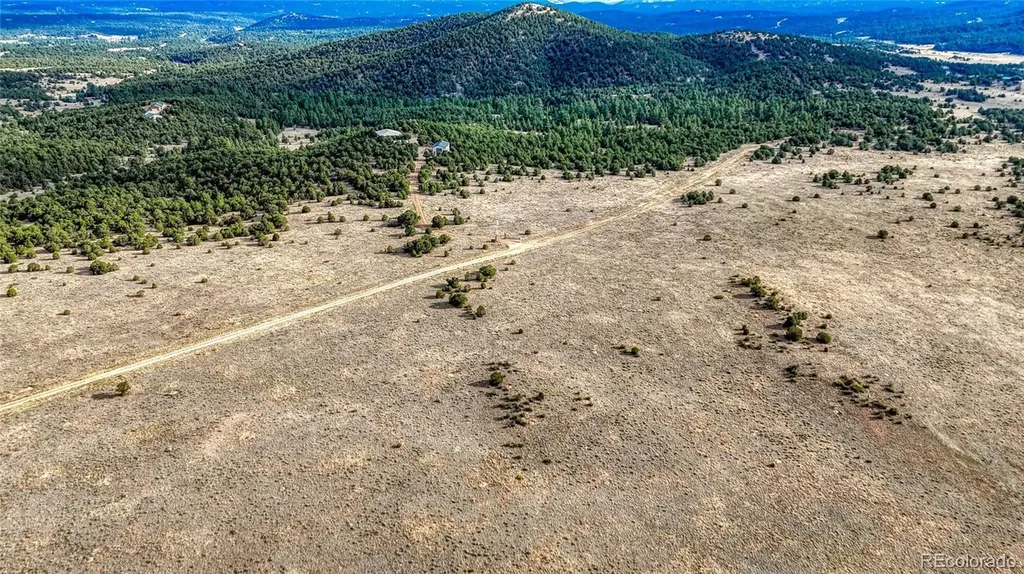 705 Riggs Road N Westcliffe CO 81252