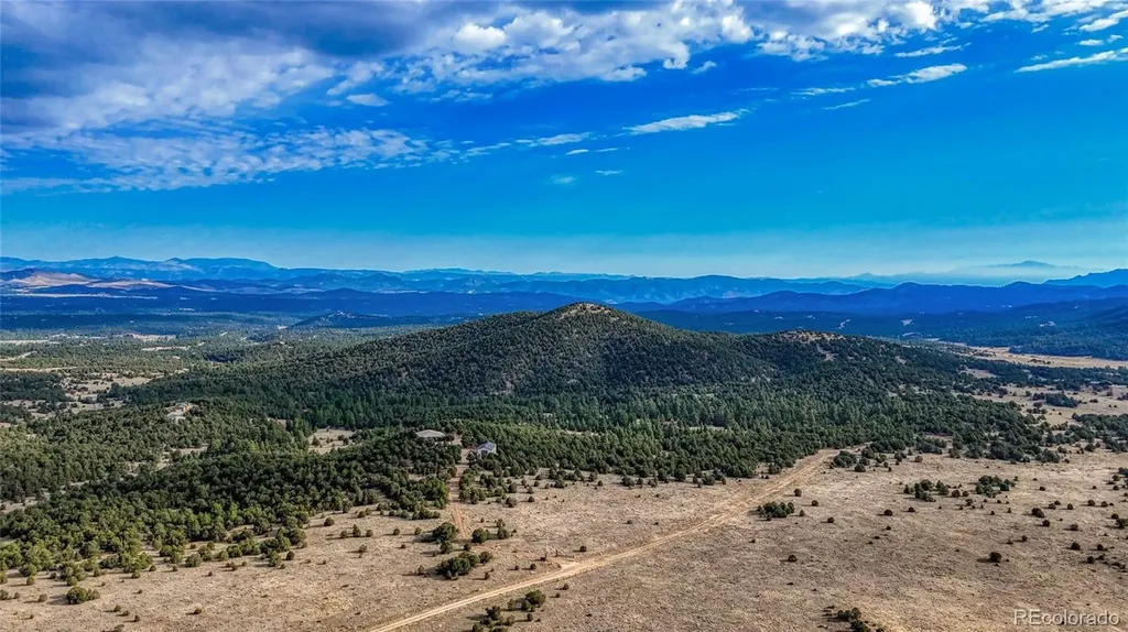 705 Riggs Road N Westcliffe CO 81252
