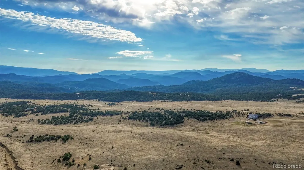 705 Riggs Road N Westcliffe CO 81252