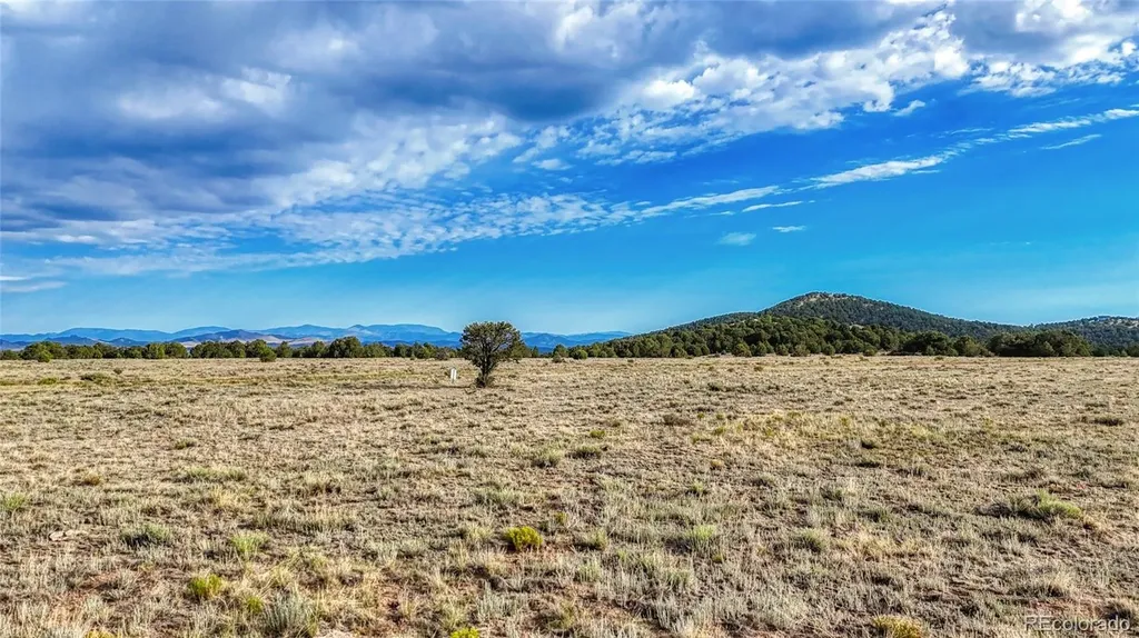 705 Riggs Road N Westcliffe CO 81252