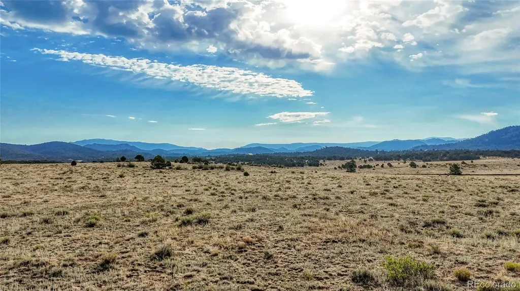 705 Riggs Road N Westcliffe CO 81252