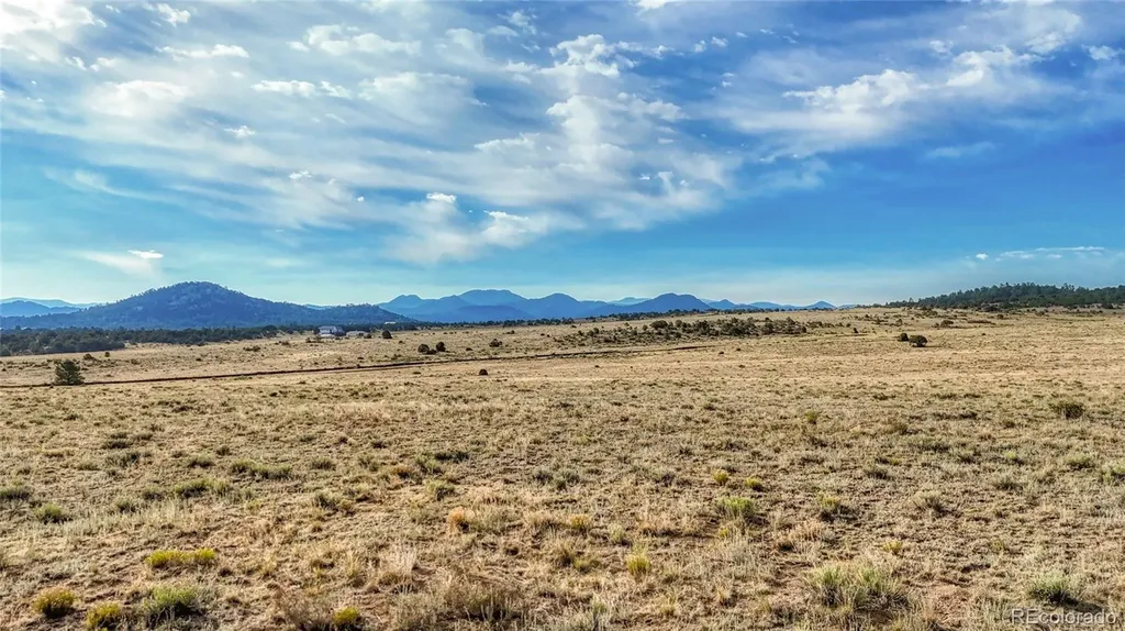 705 Riggs Road N Westcliffe CO 81252