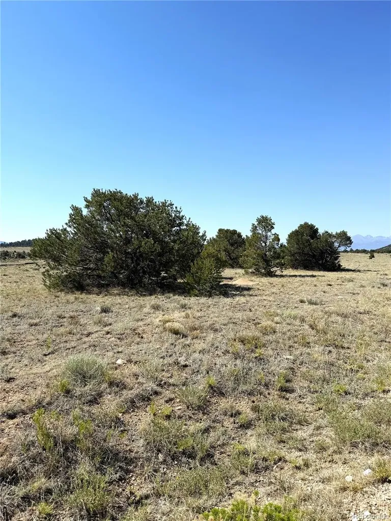 705 Riggs Road N Westcliffe CO 81252