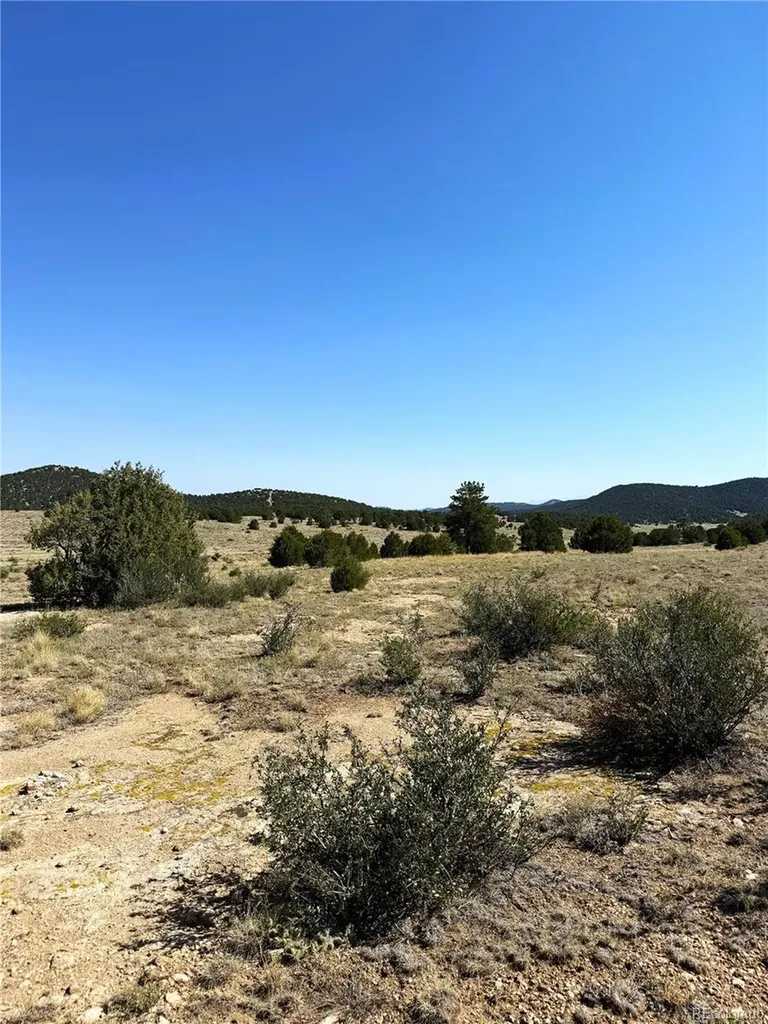 705 Riggs Road N Westcliffe CO 81252