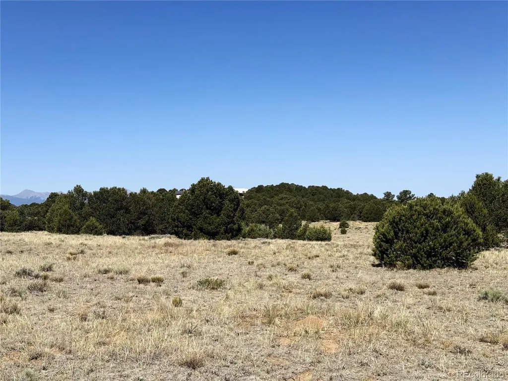 705 Riggs Road N Westcliffe CO 81252