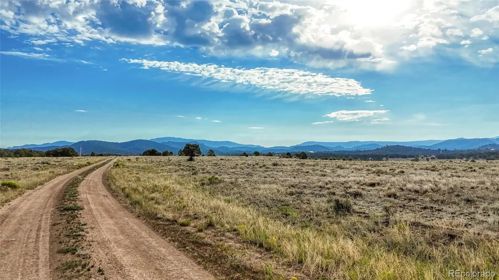 705 Riggs Road N Westcliffe CO 81252