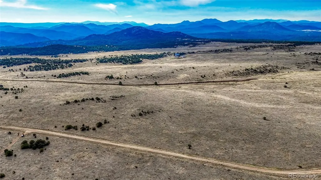 705 Riggs Road N Westcliffe CO 81252