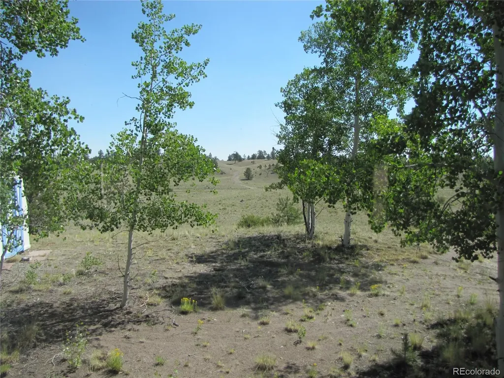 560 Concho Trail Hartsel CO 80449