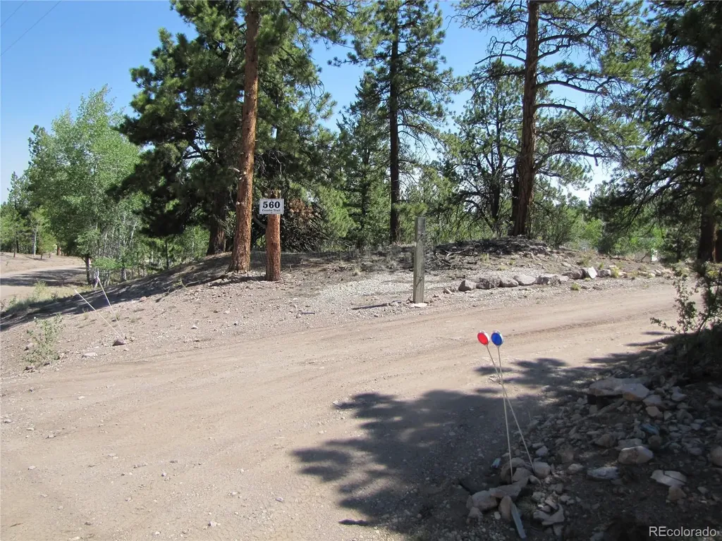 560 Concho Trail Hartsel CO 80449
