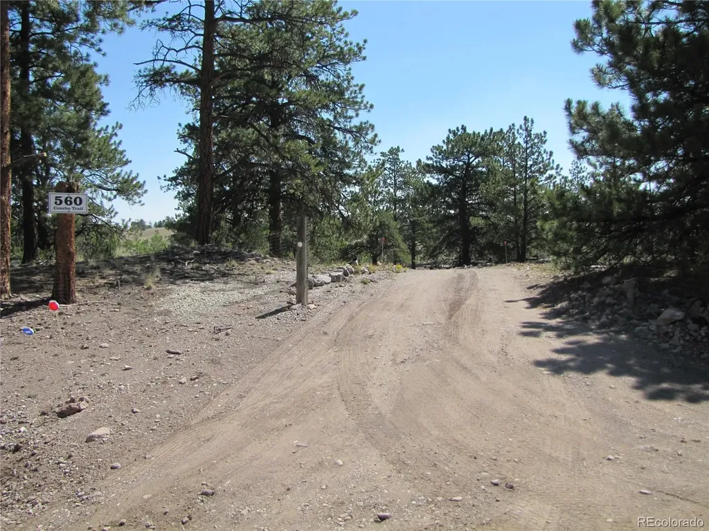 560 Concho Trail Hartsel CO 80449
