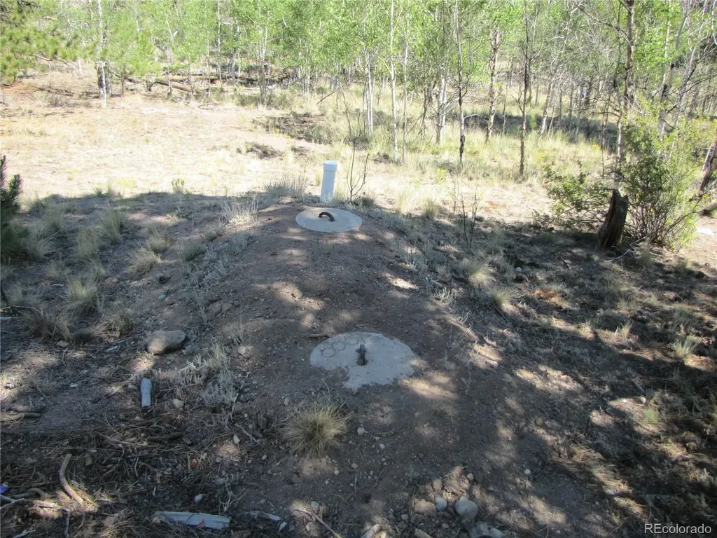560 Concho Trail Hartsel CO 80449