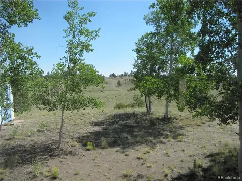560 Concho Trail Hartsel CO 80449