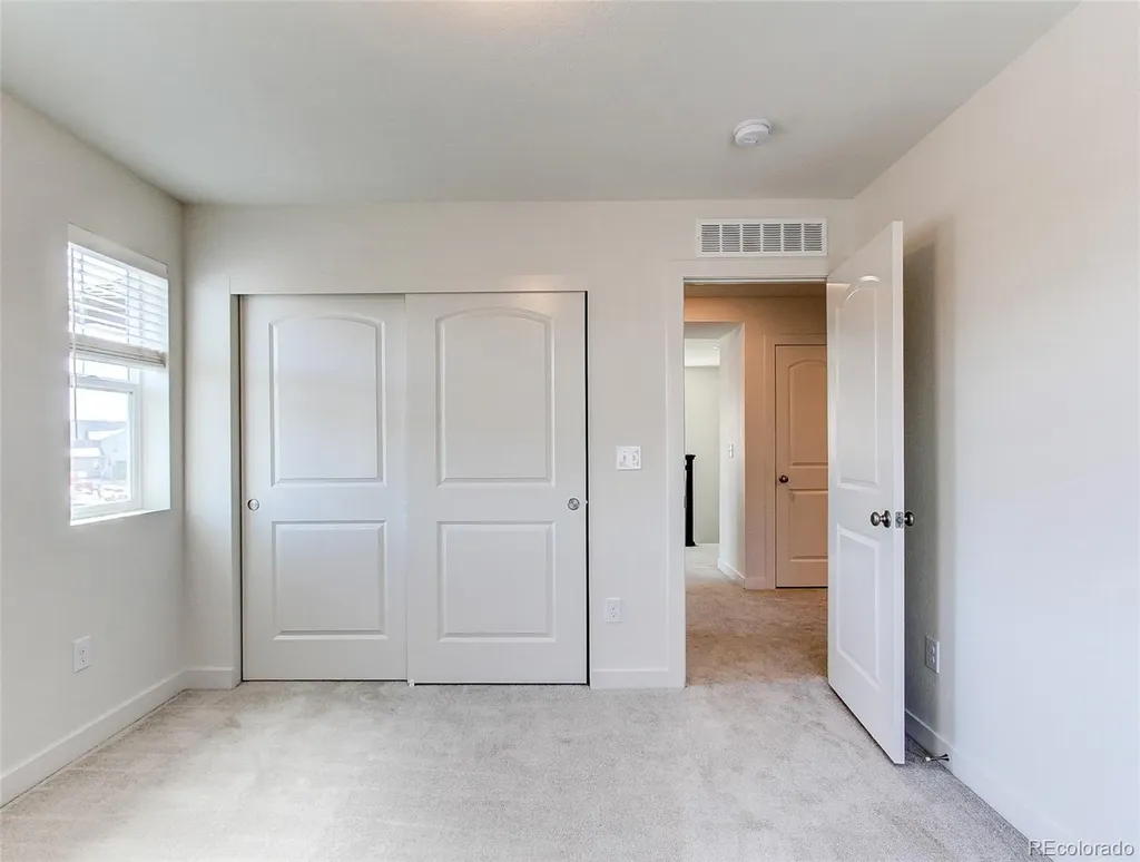 4081 Fortune Lane Castle Rock CO 80109