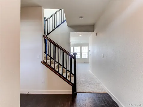 4081 Fortune Lane Castle Rock CO 80109