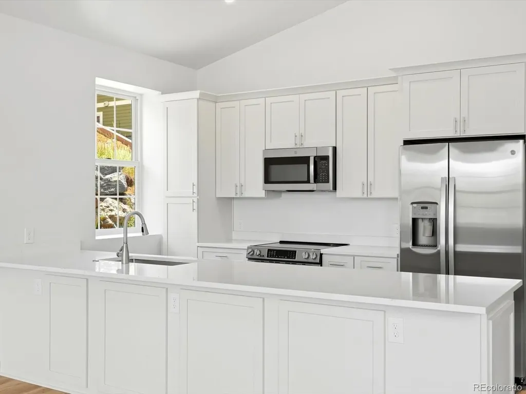 100 Roworth Street Central City CO 80427