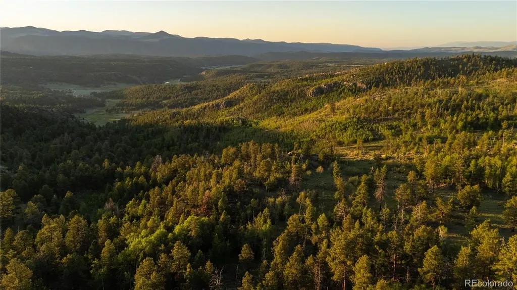 404 Valley Drive Florissant CO 80816