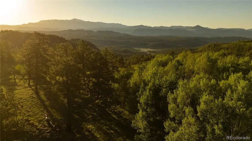 404 Valley Drive Florissant CO 80816