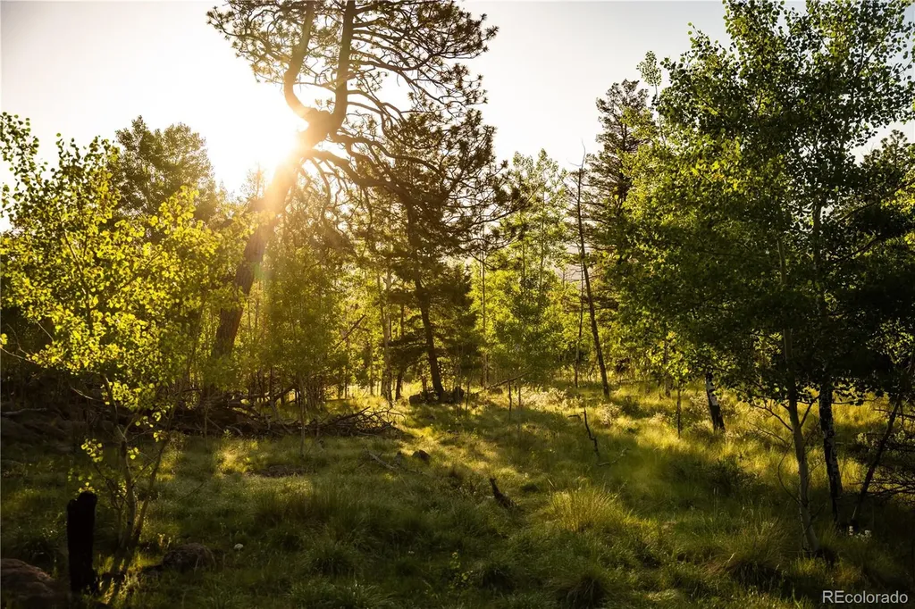 404 Valley Drive Florissant CO 80816