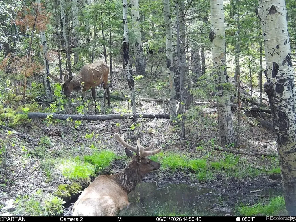 404 Valley Drive Florissant CO 80816