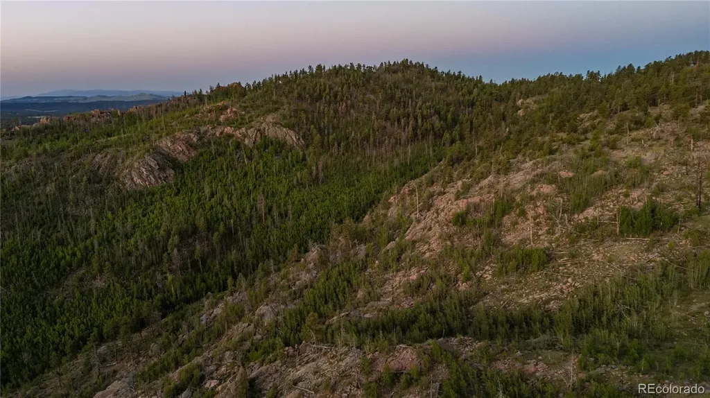 404 Valley Drive Florissant CO 80816