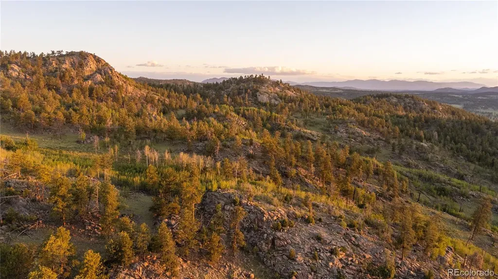 404 Valley Drive Florissant CO 80816