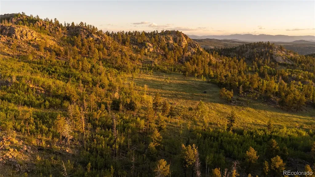 404 Valley Drive Florissant CO 80816