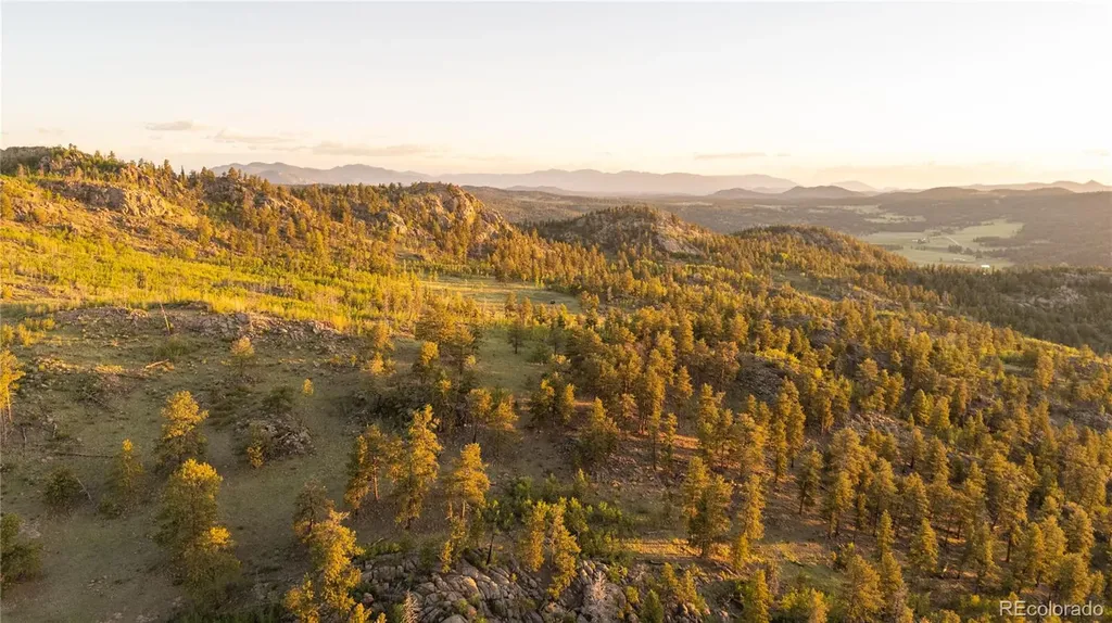 404 Valley Drive Florissant CO 80816