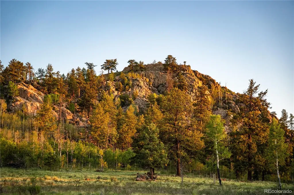 404 Valley Drive Florissant CO 80816