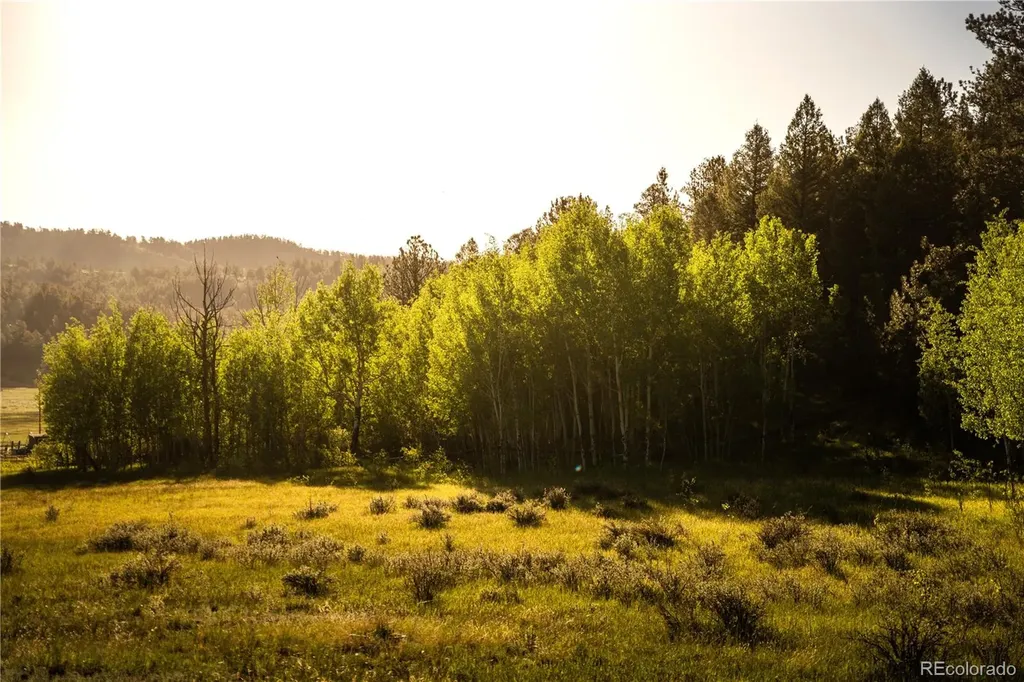404 Valley Drive Florissant CO 80816