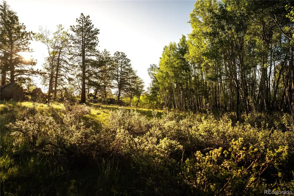 404 Valley Drive Florissant CO 80816