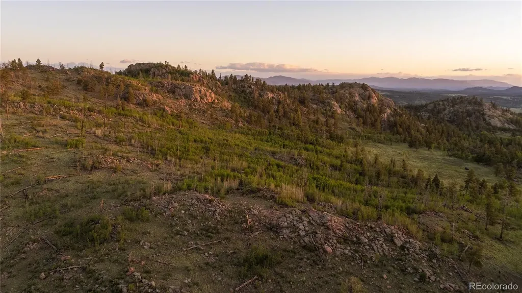 404 Valley Drive Florissant CO 80816