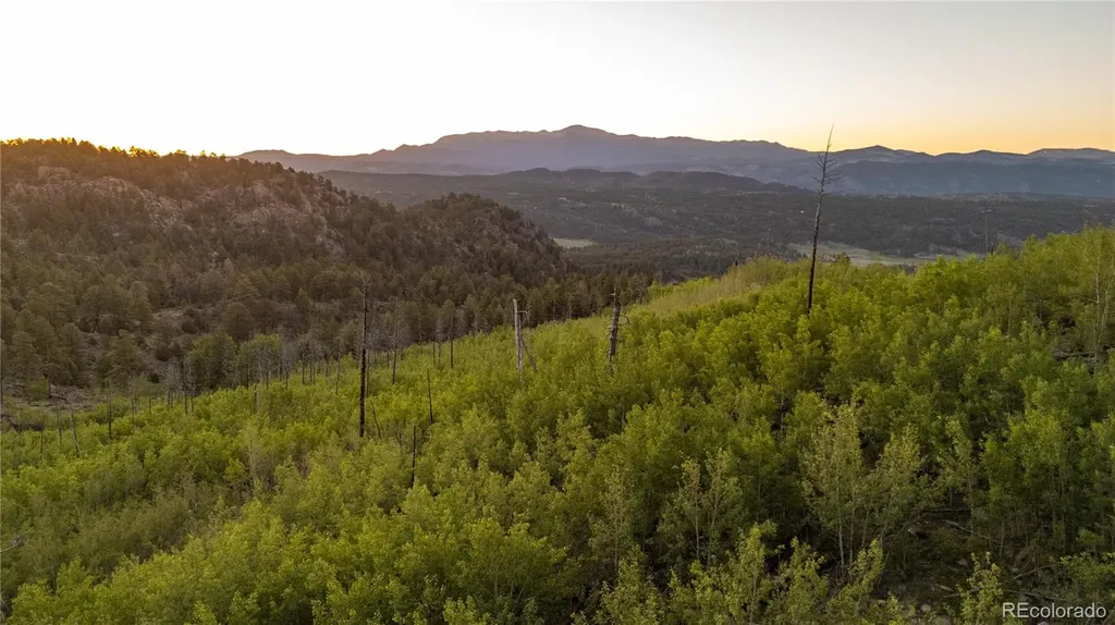 404 Valley Drive Florissant CO 80816