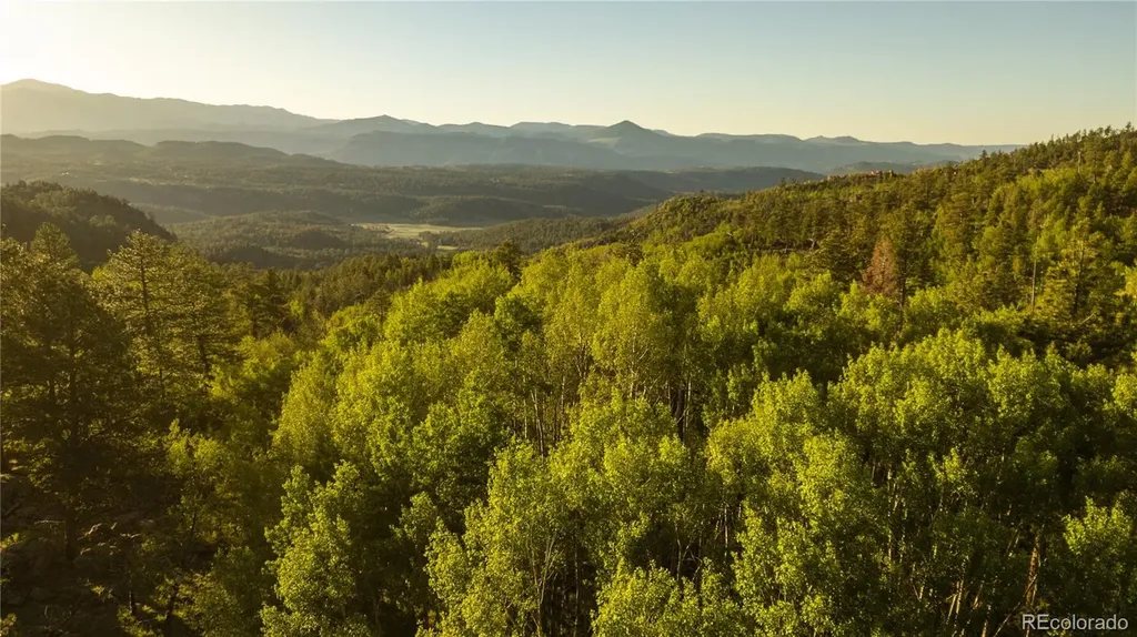 404 Valley Drive Florissant CO 80816