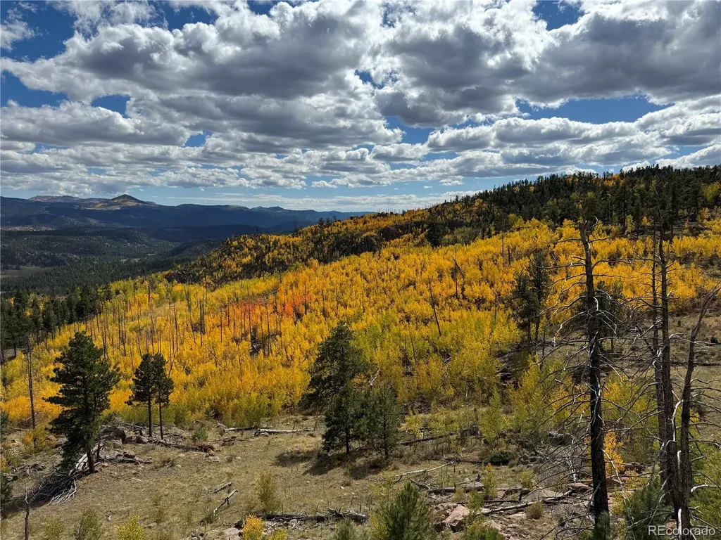 404 Valley Drive Florissant CO 80816