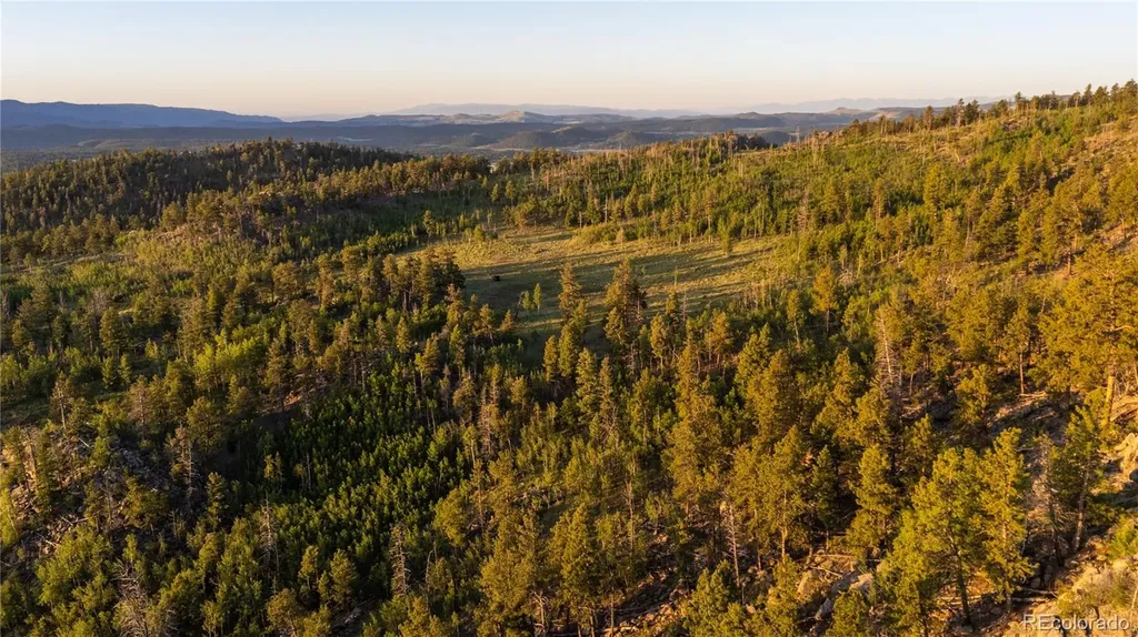 404 Valley Drive Florissant CO 80816