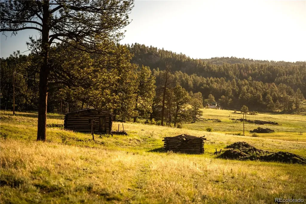 404 Valley Drive Florissant CO 80816