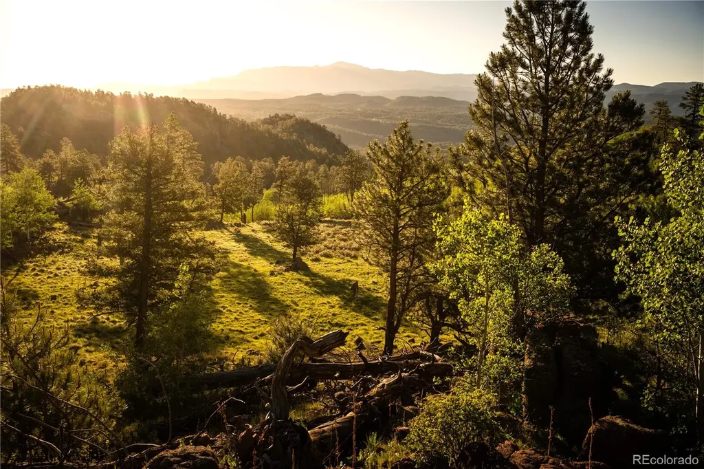 404 Valley Drive Florissant CO 80816