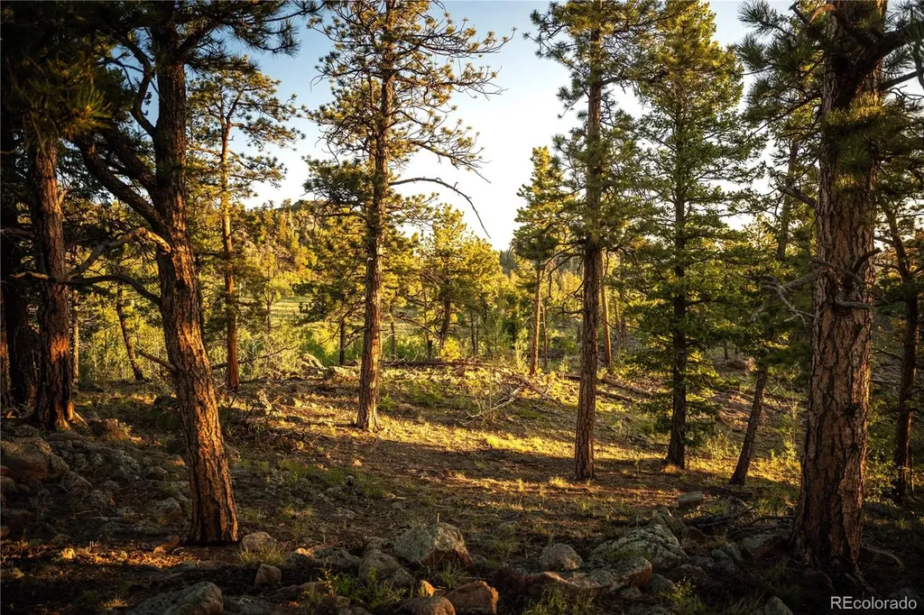 404 Valley Drive Florissant CO 80816