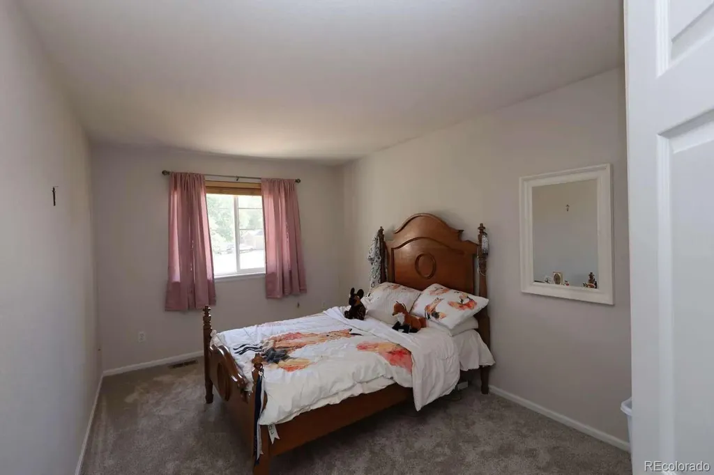 10767 Pikeview Lane Parker CO 80138