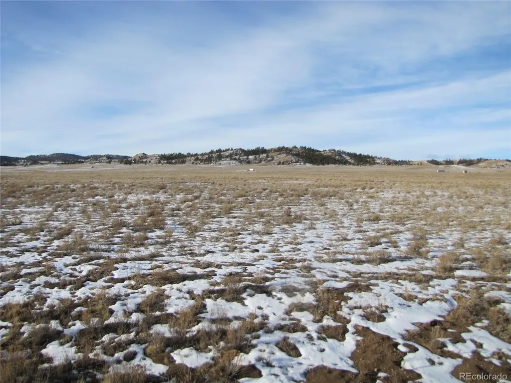 0 Buffalo Drive Hartsel CO 80449