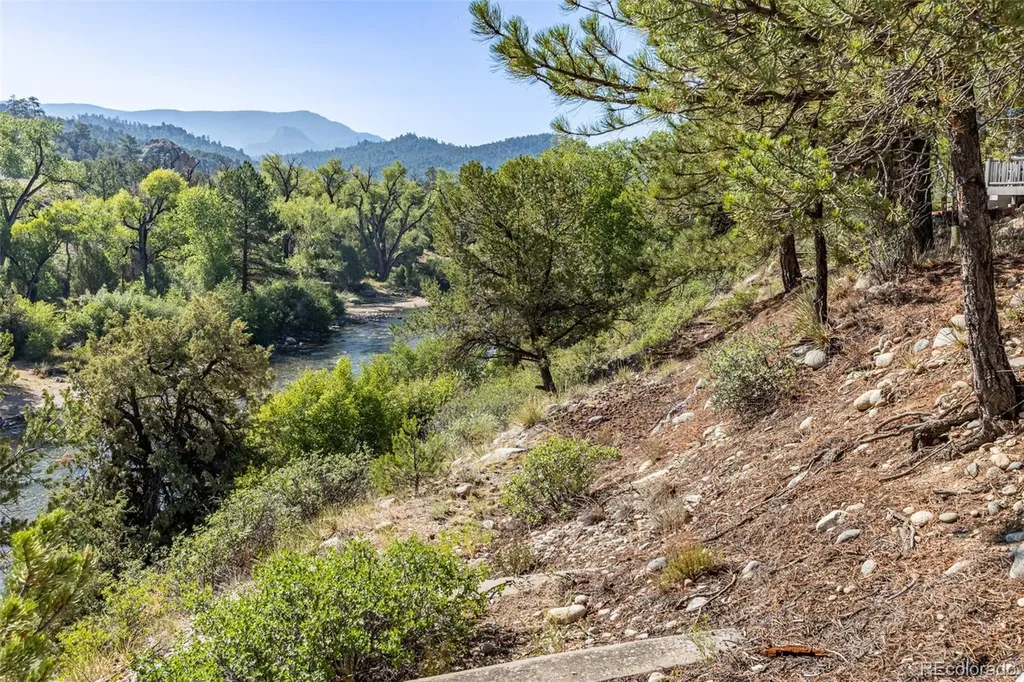 10795 County Road 197a Nathrop CO 81236