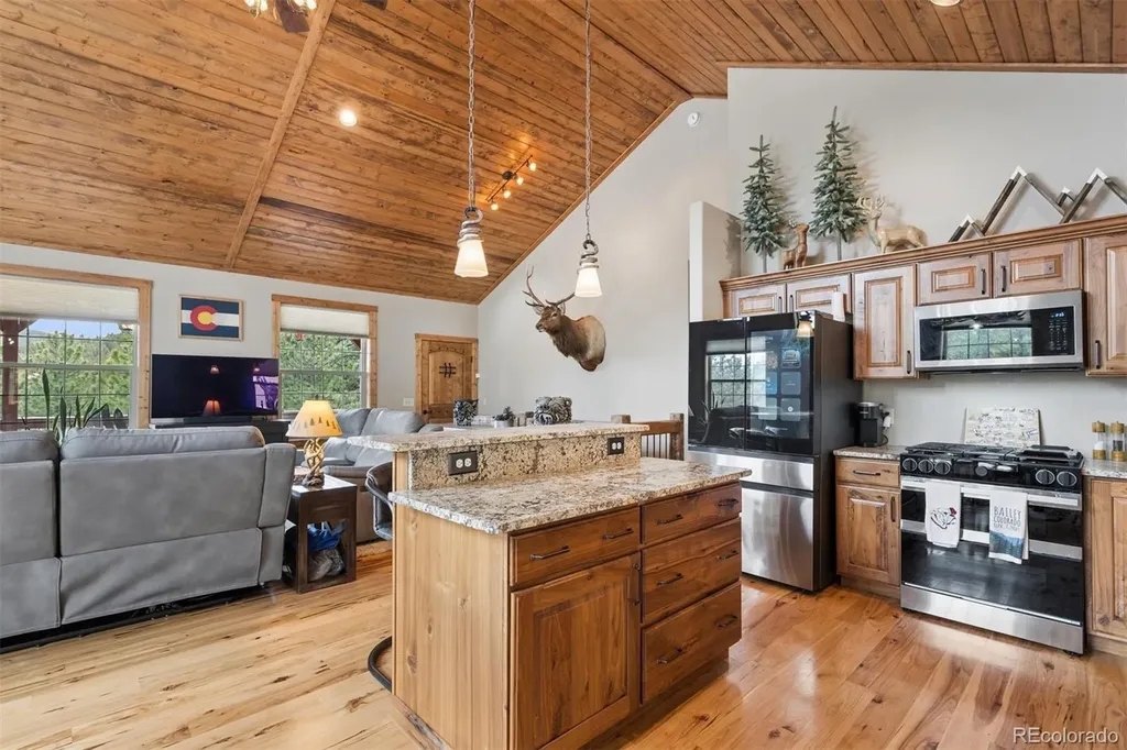2894 County Road 43 Bailey CO 80421