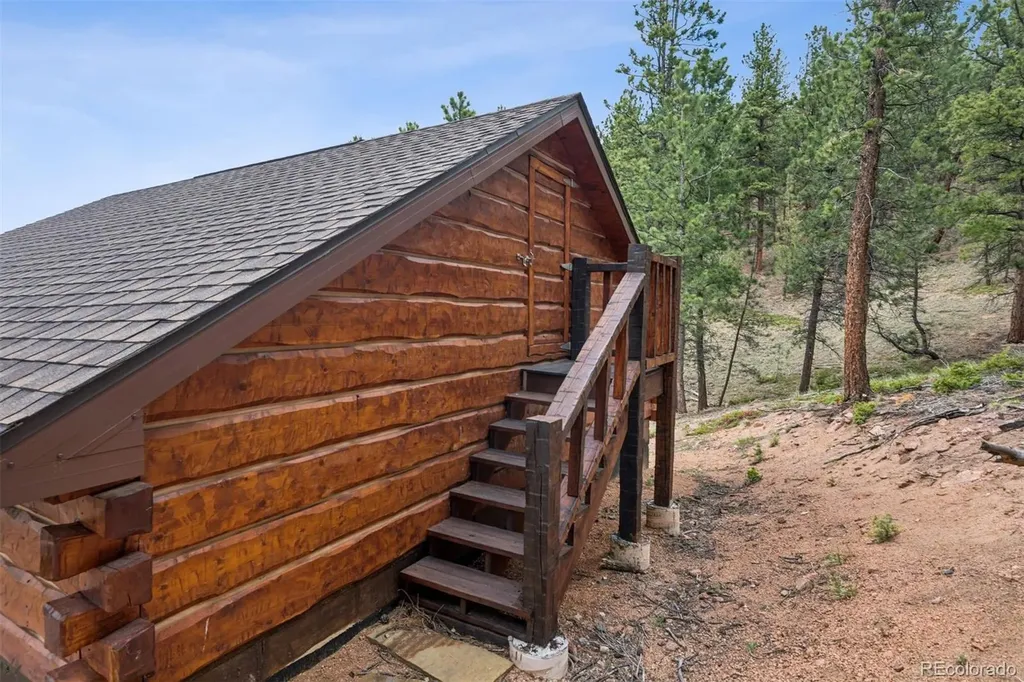 2894 County Road 43 Bailey CO 80421