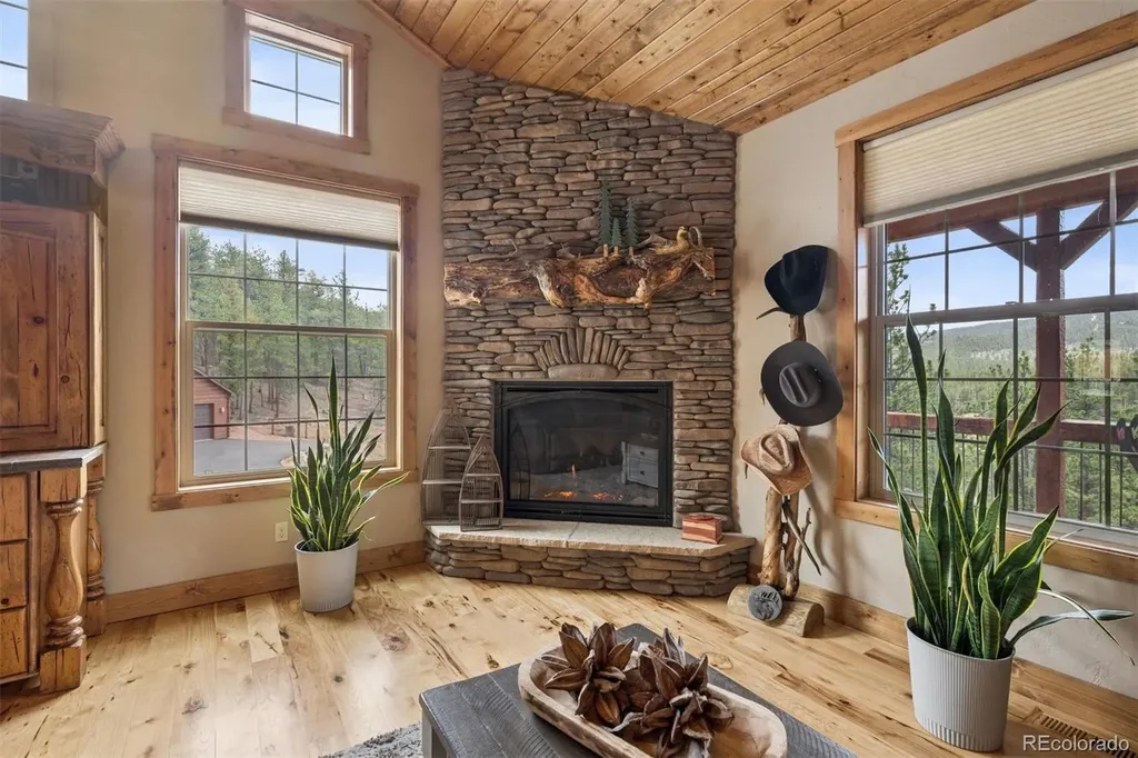 2894 County Road 43 Bailey CO 80421
