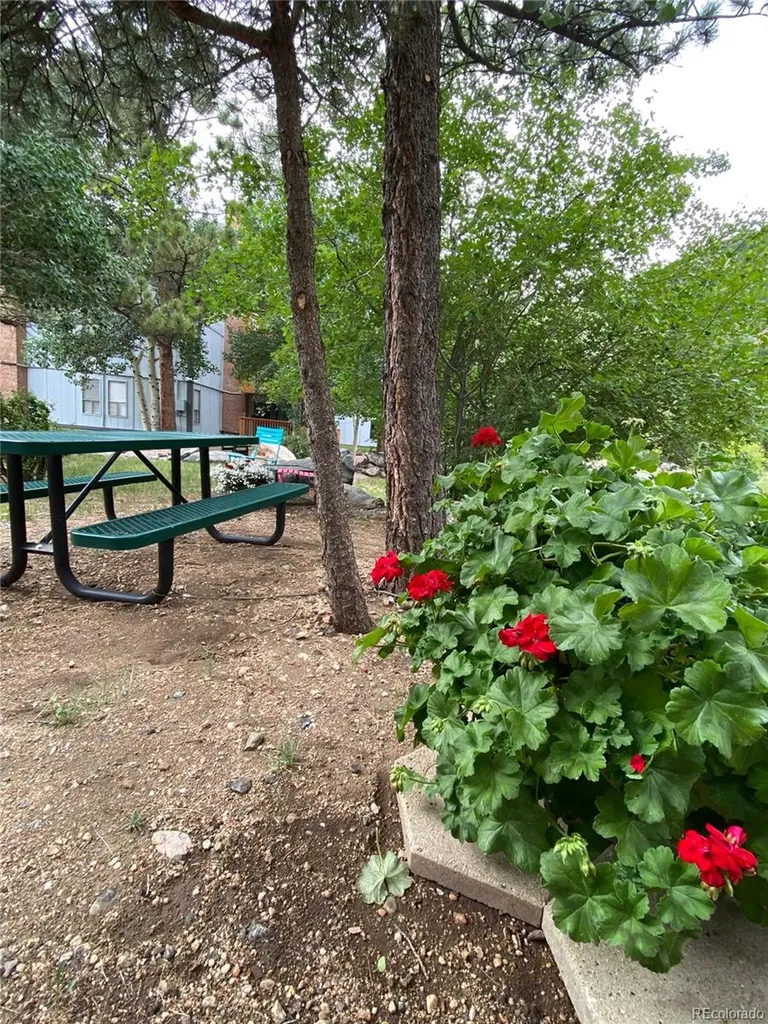 1901 Clear Creek Drive Georgetown CO 80444