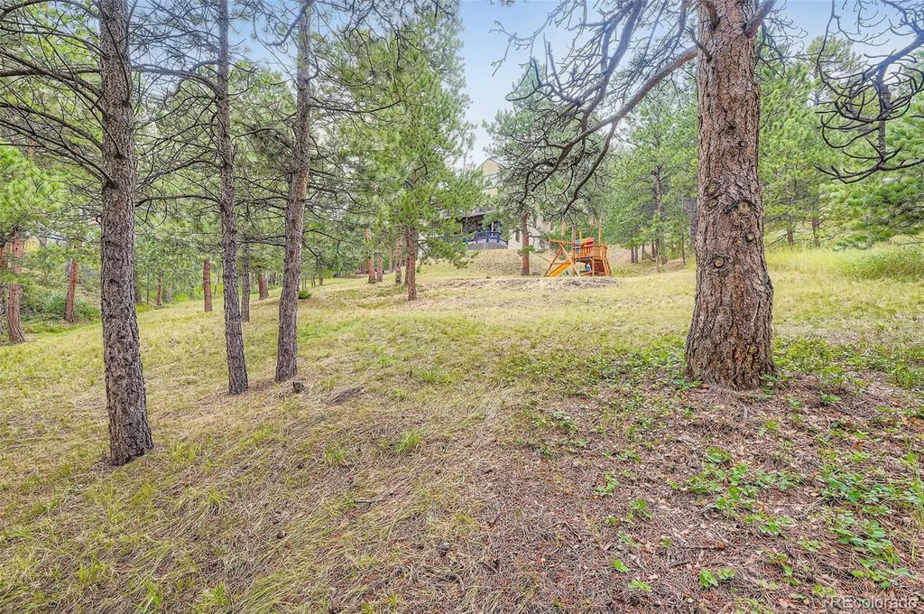 7382 S Sourdough Drive Morrison CO 80465
