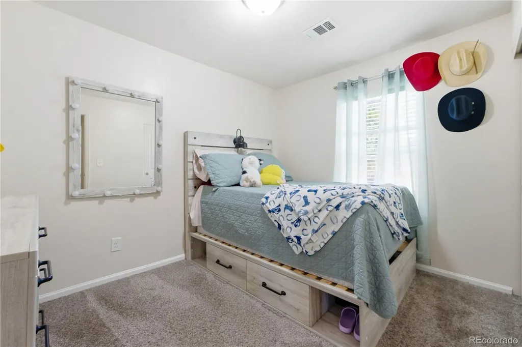 4858 Joplin Court Denver CO 80239